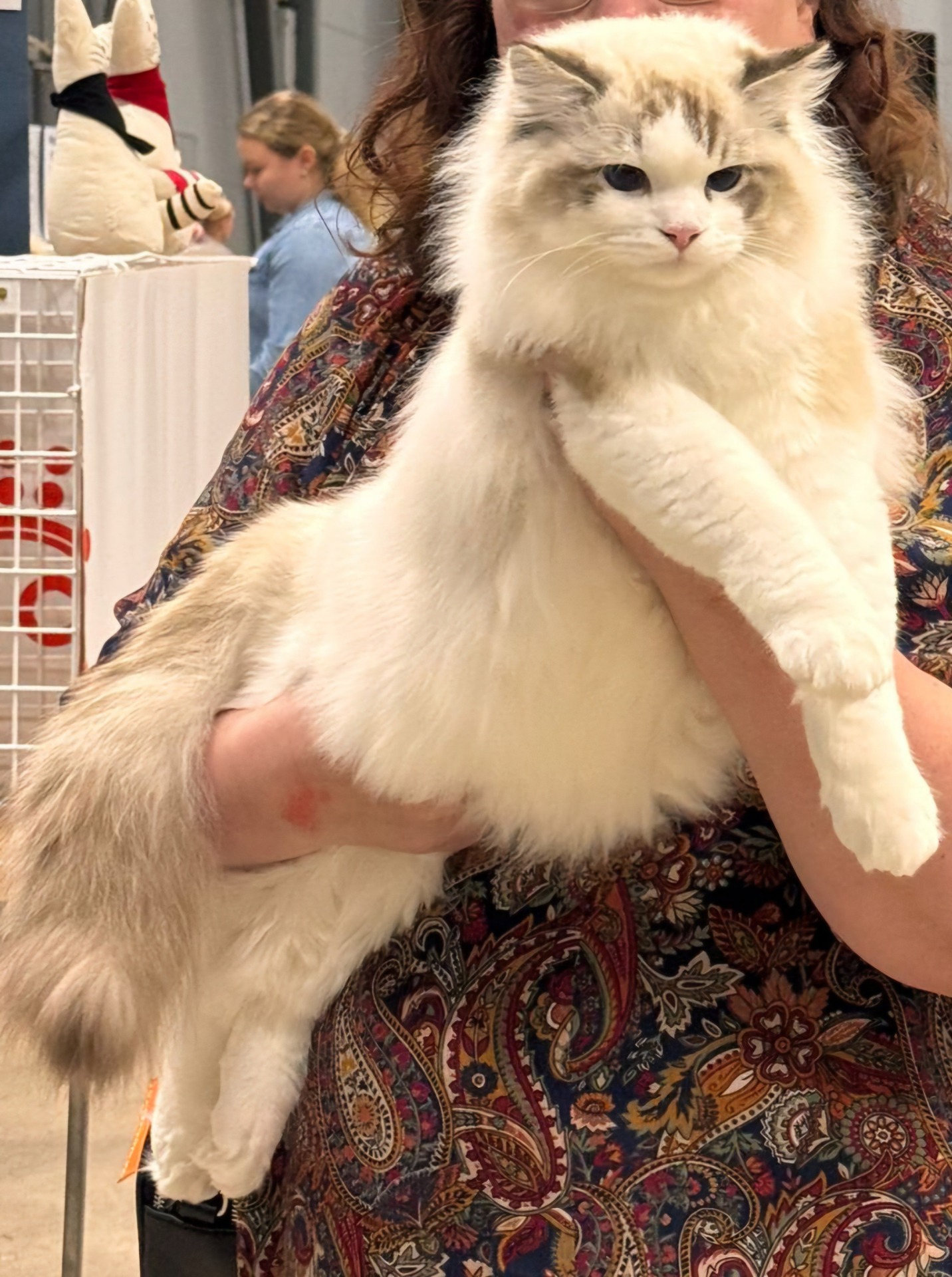 TUCO sulhasmies toiselle